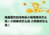 我最喜欢的动物是小猫用英语怎么说（小猫英语怎么说 小狗英语怎么说）