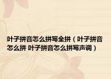 叶子拼音怎么拼写全拼（叶子拼音怎么拼 叶子拼音怎么拼写声调）