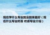 现在学什么专业就业前景最好（现在什么专业吃香 吃香专业介绍）