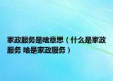 家政服务是啥意思（什么是家政服务 啥是家政服务）