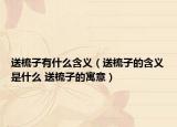 送梳子有什么含义（送梳子的含义是什么 送梳子的寓意）