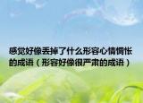 感觉好像丢掉了什么形容心情惆怅的成语（形容好像很严肃的成语）