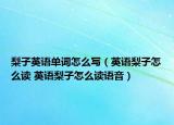 梨子英语单词怎么写（英语梨子怎么读 英语梨子怎么读语音）