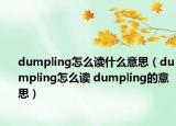 dumpling怎么读什么意思（dumpling怎么读 dumpling的意思）