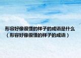 形容好像很懂的样子的成语是什么（形容好像很懂的样子的成语）