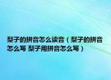 梨子的拼音怎么读音（梨子的拼音怎么写 梨子用拼音怎么写）