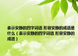 表示安静的四字词语 形容安静的成语是什么（表示安静的四字词语 形容安静的成语）