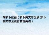 胡萝卜读音（萝卜英文怎么读 萝卜英文怎么读音发音英语）