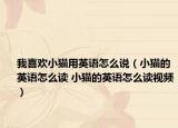 我喜欢小猫用英语怎么说（小猫的英语怎么读 小猫的英语怎么读视频）