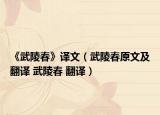 《武陵春》译文（武陵春原文及翻译 武陵春 翻译）