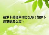 胡萝卜英语单词怎么写（胡萝卜用英语怎么写）