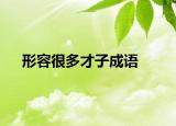 形容很多才子成语