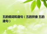 五的组词和造句（五的拼音 五的造句）