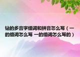 钻的多音字组词和拼音怎么写（一的组词怎么写 一的组词怎么写的）