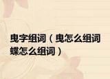 曳字组词（曳怎么组词 蝶怎么组词）