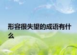 形容很失望的成语有什么