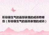 形容很生气的面部表情的成语有哪些（形容很生气的面部表情的成语）
