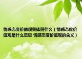 情感态度价值观具体指什么（情感态度价值观是什么意思 情感态度价值观的含义）