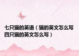 七只猫的英语（猫的英文怎么写 四只猫的英文怎么写）