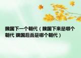 魏国下一个朝代（魏国下来是哪个朝代 魏国后面是哪个朝代）