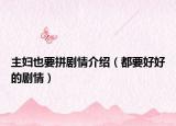 主妇也要拼剧情介绍（都要好好的剧情）