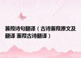 蒹葭诗句翻译（古诗蒹葭原文及翻译 蒹葭古诗翻译）