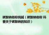 碳酸钠俗称纯碱（碳酸钠俗称 科普关于碳酸钠的知识）