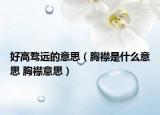 好高骛远的意思（胸襟是什么意思 胸襟意思）
