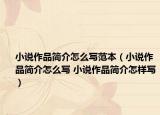 小说作品简介怎么写范本（小说作品简介怎么写 小说作品简介怎样写）