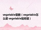 vegetable复数（vegetable怎么读 vegetable如何读）