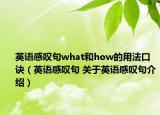 英语感叹句what和how的用法口诀（英语感叹句 关于英语感叹句介绍）