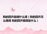 和的四声能组什么词（和的四声怎么组词 和的四声组词是什么）