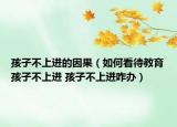 孩子不上进的因果（如何看待教育孩子不上进 孩子不上进咋办）