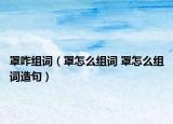 罩咋组词（罩怎么组词 罩怎么组词造句）