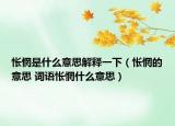 怅惘是什么意思解释一下（怅惘的意思 词语怅惘什么意思）