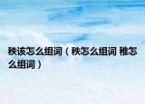 秩该怎么组词（秩怎么组词 稚怎么组词）