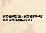 英文名字游戏名（英文名游戏id有哪些 英文名游戏id大全）