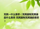 无其一什么意思（无其器则无其道是什么意思 无其器则无其道的意思）