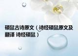 硕鼠古诗原文（诗经硕鼠原文及翻译 诗经硕鼠）