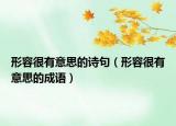 形容很有意思的诗句（形容很有意思的成语）