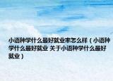 小语种学什么最好就业率怎么样（小语种学什么最好就业 关于小语种学什么最好就业）