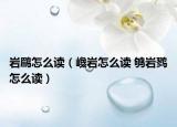 岩鹛怎么读（巉岩怎么读 鸲岩鹨怎么读）