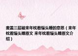 麦盖三层被来年枕着馒头睡的意思（来年枕着馒头睡原文 来年枕着馒头睡原文介绍）