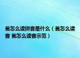 瓮怎么读拼音是什么（瓮怎么读音 瓮怎么读音示范）