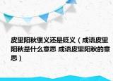 皮里阳秋褒义还是贬义（成语皮里阳秋是什么意思 成语皮里阳秋的意思）
