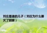 刘庄是谁的儿子（刘庄为什么要灭了阴家）