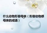 什么动物形容母亲（形容动物感母亲的成语）