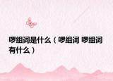 啰组词是什么（啰组词 啰组词 有什么）