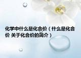 化学中什么是化合价（什么是化合价 关于化合价的简介）