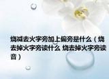 烧减去火字旁加上偏旁是什么（烧去掉火字旁读什么 烧去掉火字旁读音）